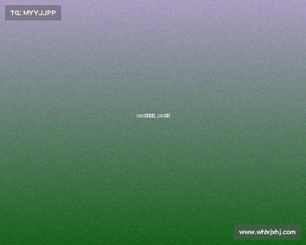 cec赛车赛事_csc赛车